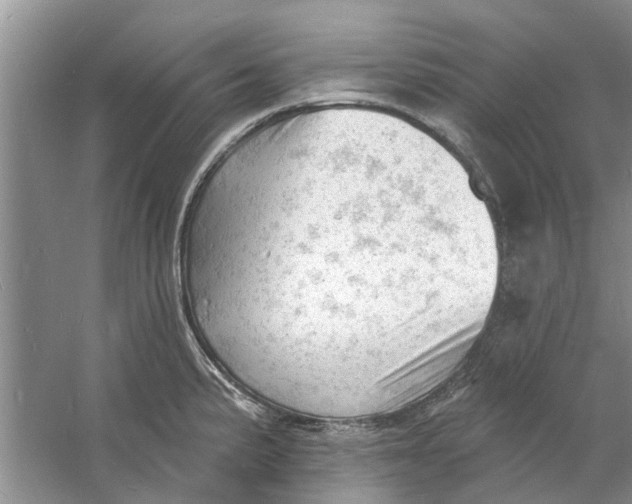 X0000060741191200512011411