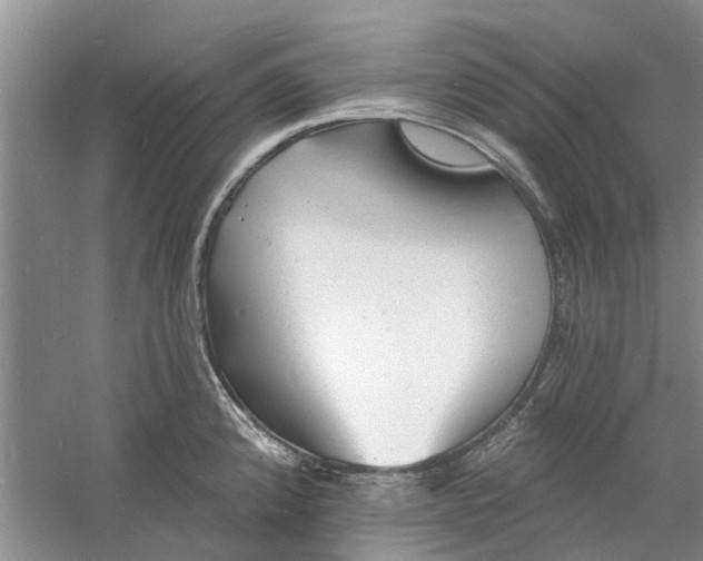 X0000060741192200512011411