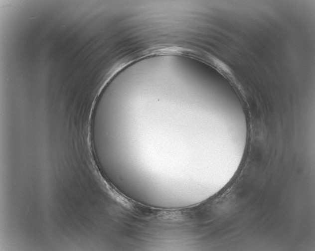 X0000060741194200512011411