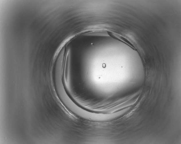 X0000060741196200512011411