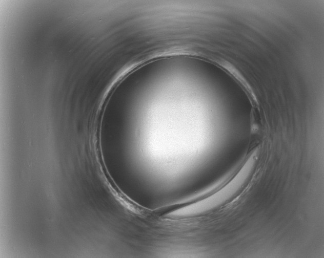 X0000060741197200512011411