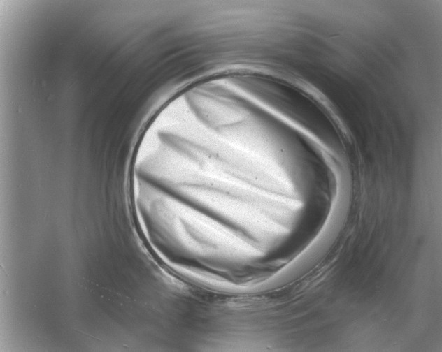 X0000060741199200512011411