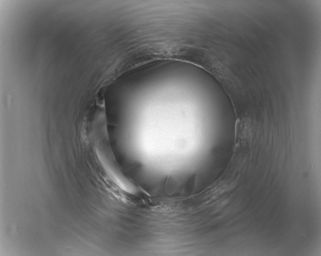 X0000060741202200512011410