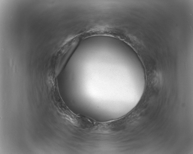 X0000060741206200512011411