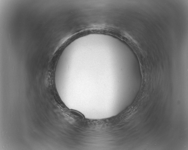 X0000060741208200512011411