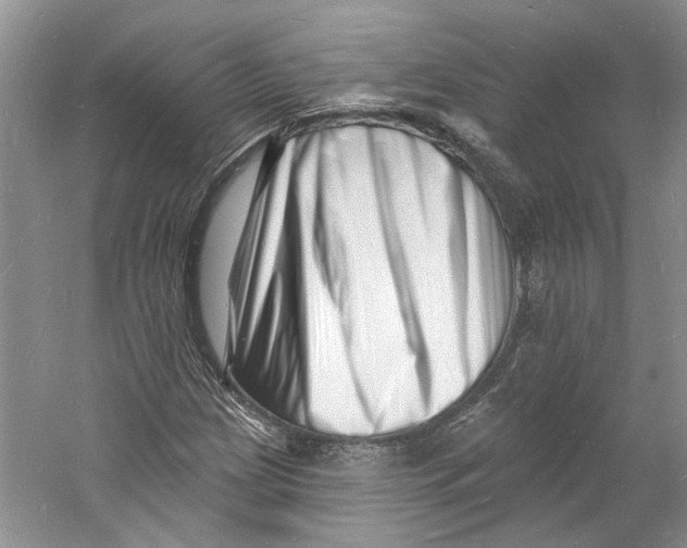 X0000060741209200512011411