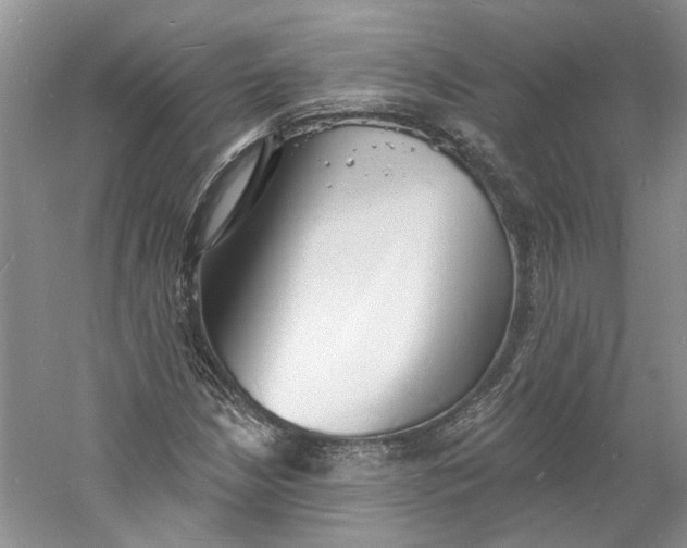 X0000060741210200512011411