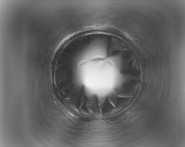 X0000060741214200512011411