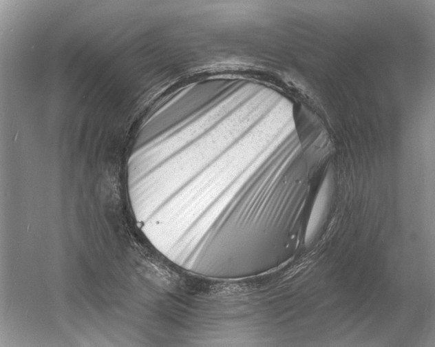 X0000060741217200512011411