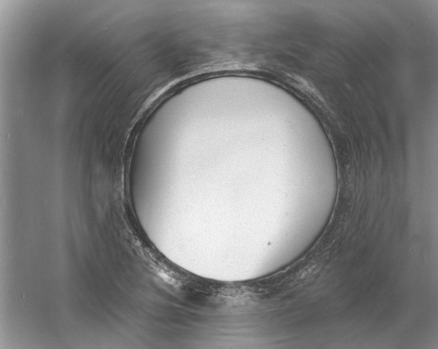 X0000060741220200512011411