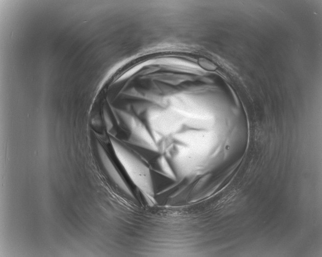 X0000060741222200512011411