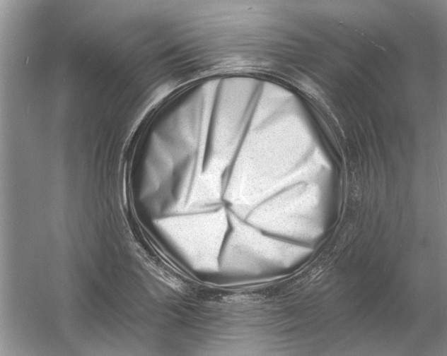 X0000060741227200512011411