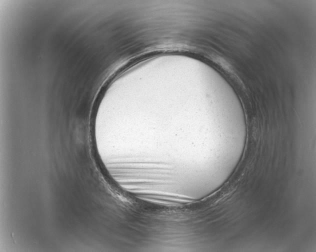 X0000060741229200512011411