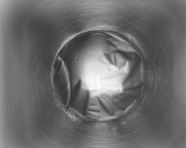 X0000060741230200512011411