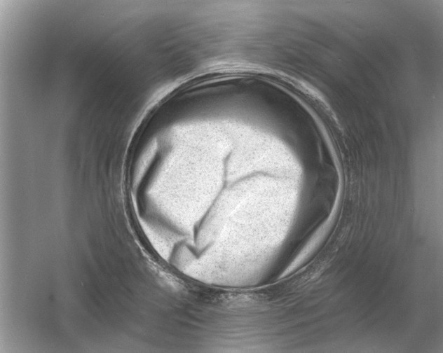 X0000060741231200512011411