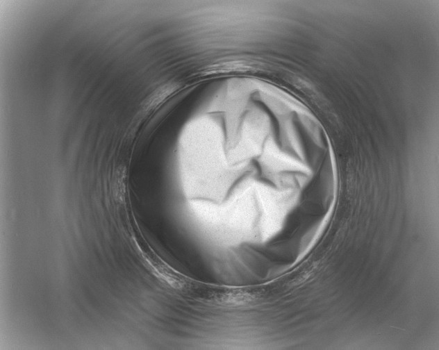 X0000060741233200512011411