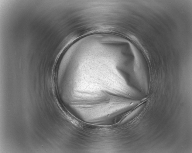 X0000060741235200512011411