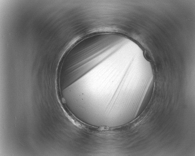 X0000060741237200512011411