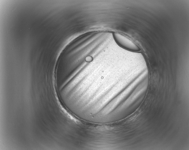 X0000060741239200512011411