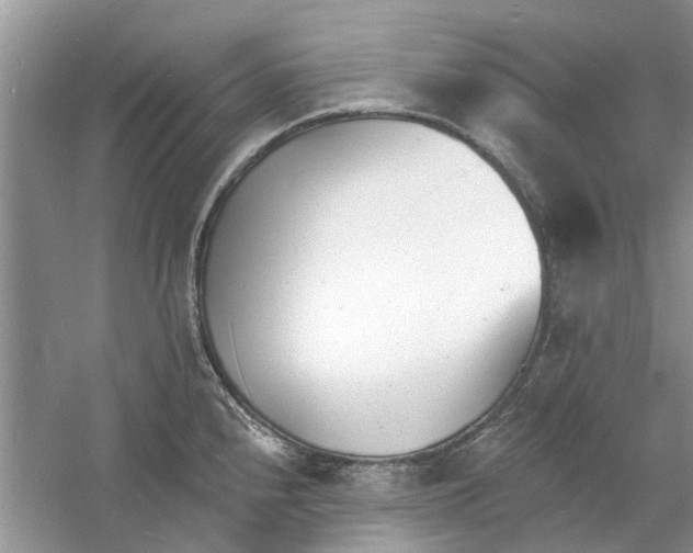 X0000060741240200512011411