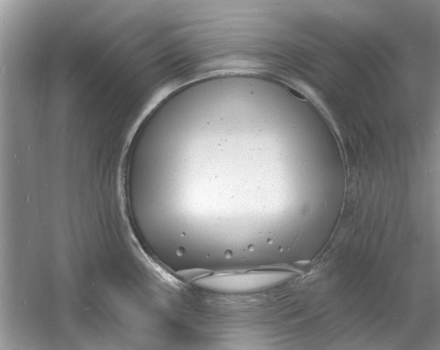 X0000060741243200512011411