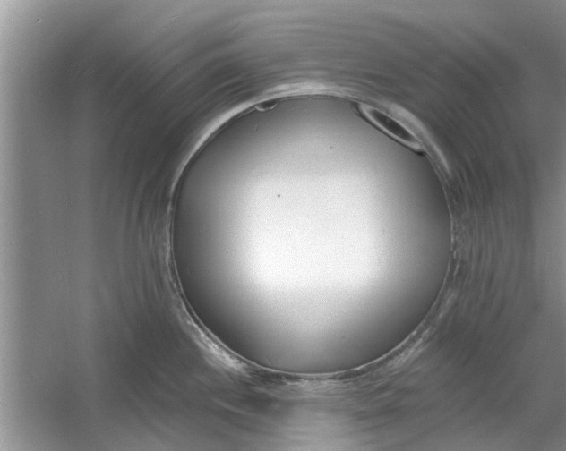 X0000060741244200512011411