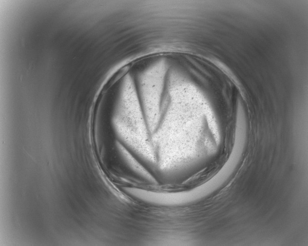 X0000060741246200512011411