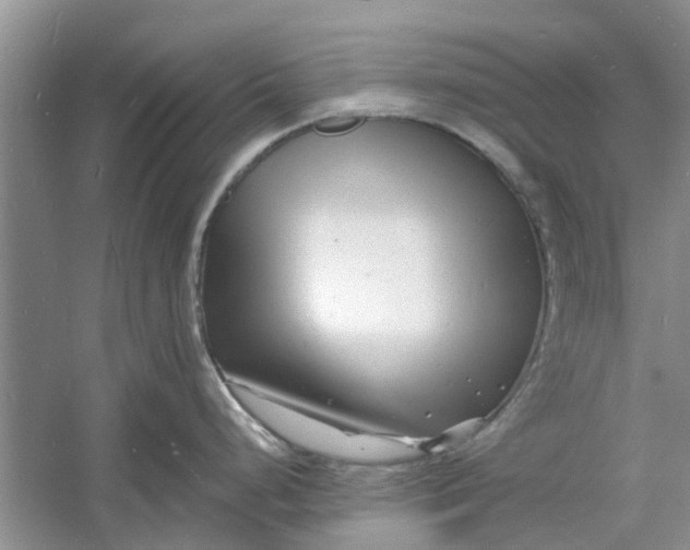 X0000060741248200512011411