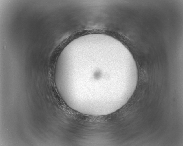 X0000060741254200512011410