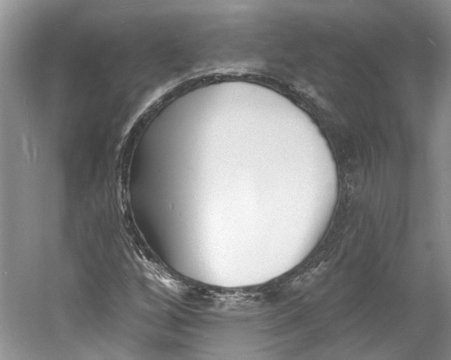 X0000060741256200512011410