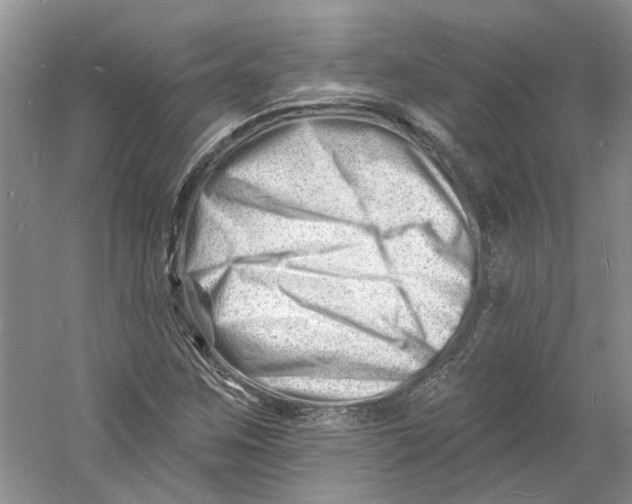 X0000060741259200512011410