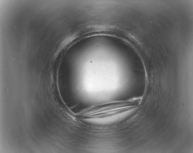 X0000060741261200512011410