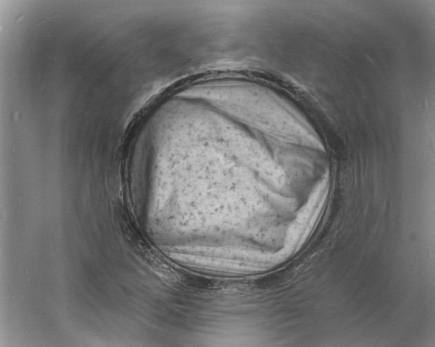 X0000060741262200512011410