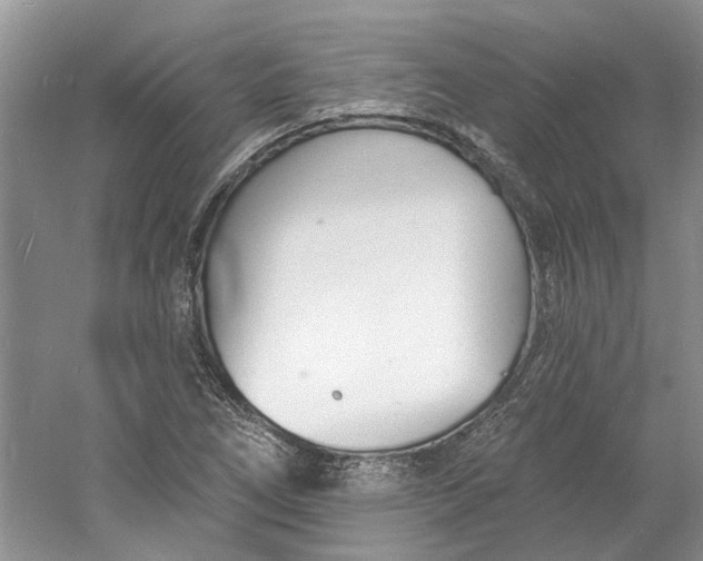 X0000060741266200512011410