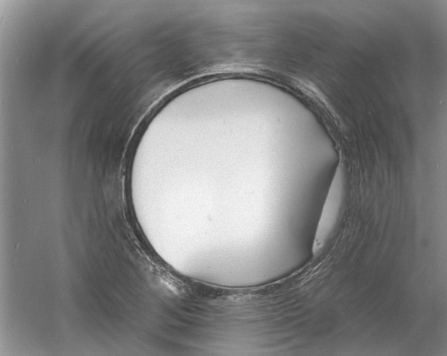 X0000060741268200512011410