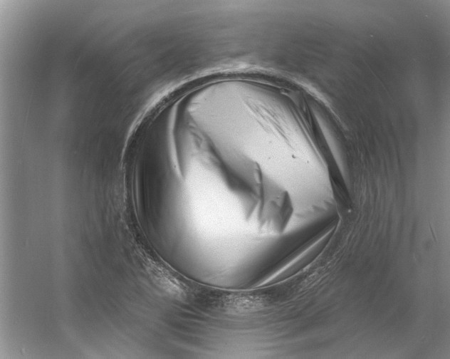 X0000060741270200512011410