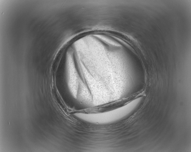 X0000060741271200512011410