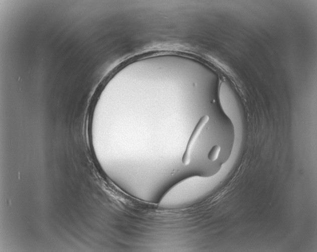 X0000060741272200512011410