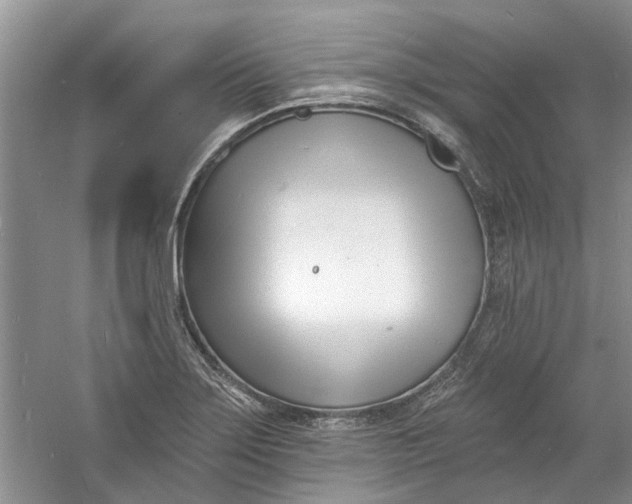 X0000060741275200512011410