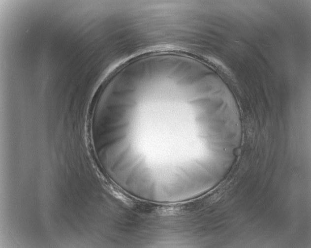 X0000060741278200512011410