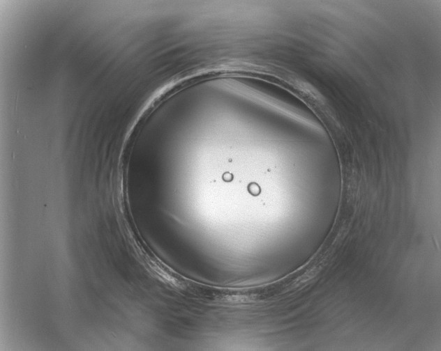 X0000060741280200512011410