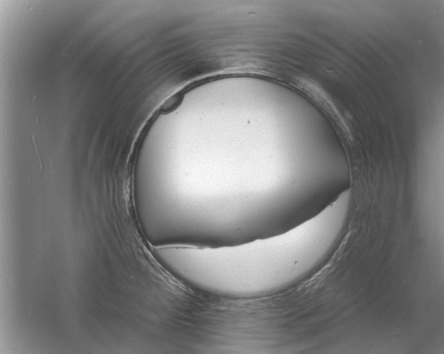 X0000060741284200512011410