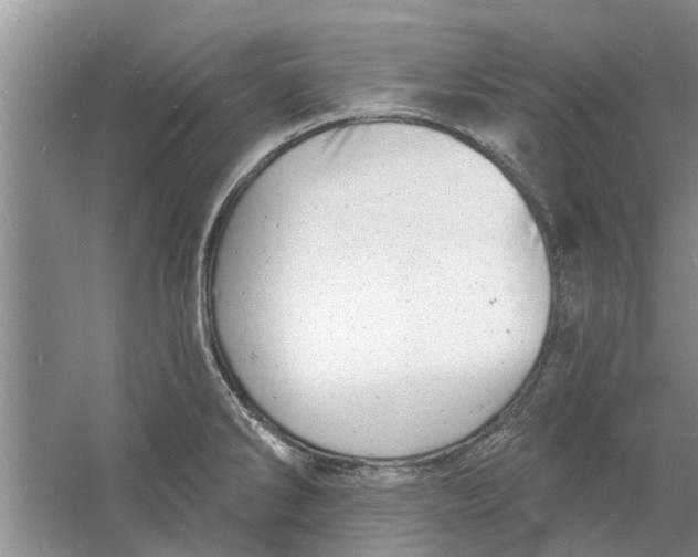 X0000060741286200512011410