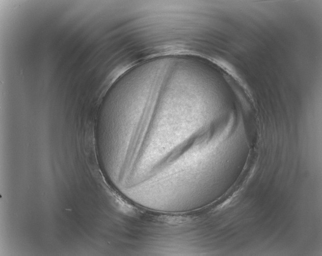 X0000060741289200512011410