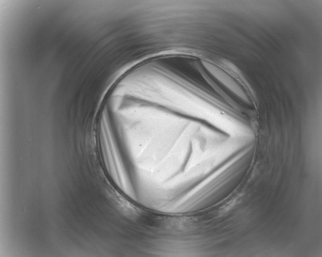 X0000060741292200512011410