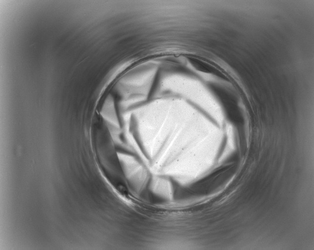 X0000060741293200512011410