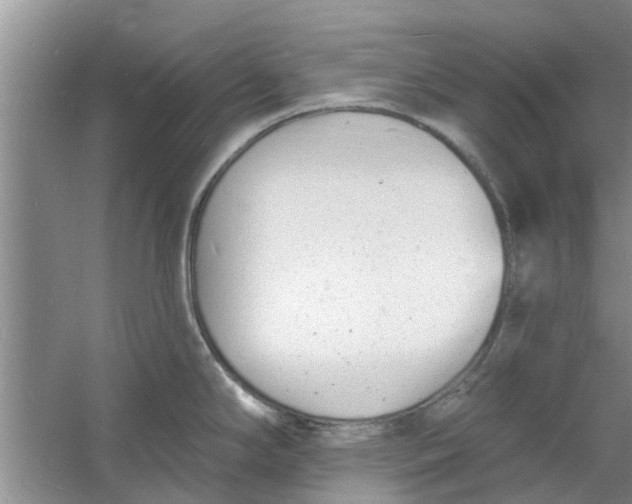 X0000060741294200512011410