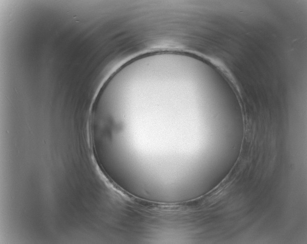 X0000060741295200512011410