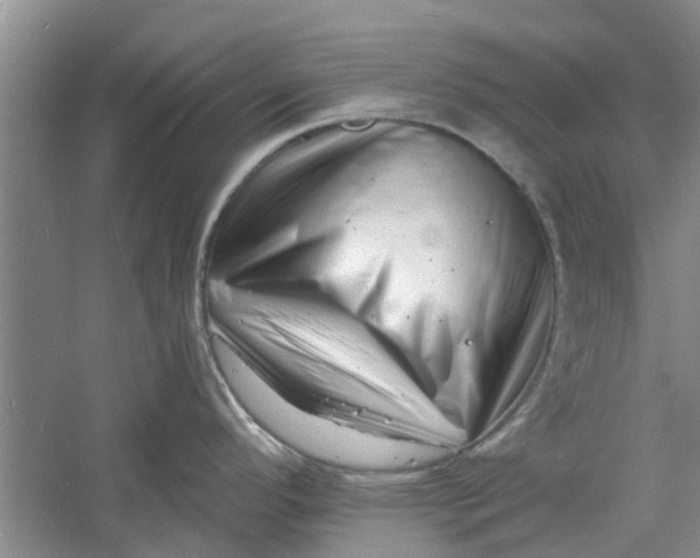 X0000060741296200512011410