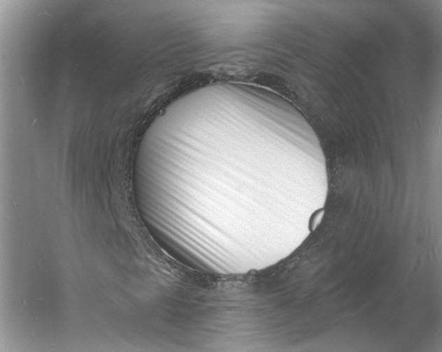 X0000060741297200512011409